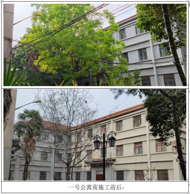 朗朗天空，“无线”校园(图6)