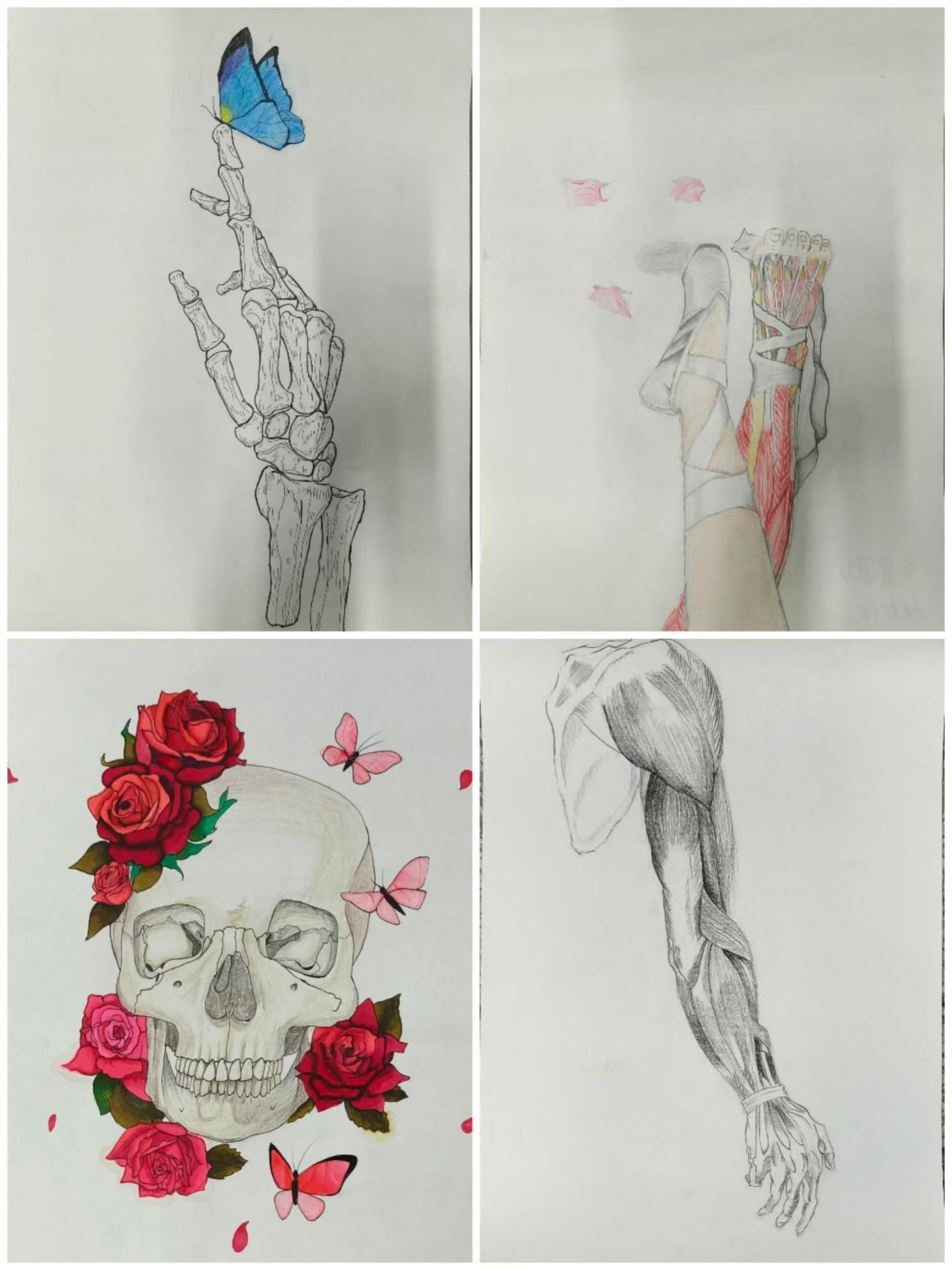 西安市卫生学校举办解剖学绘图比赛——解剖之美：画皮画骨亦画心(图6)