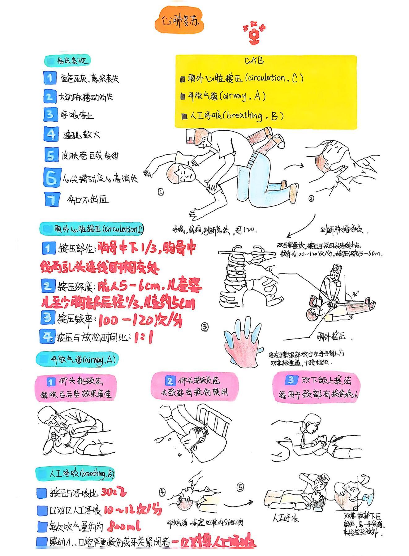 外护教学增活力，绘画活动展风采(图3)