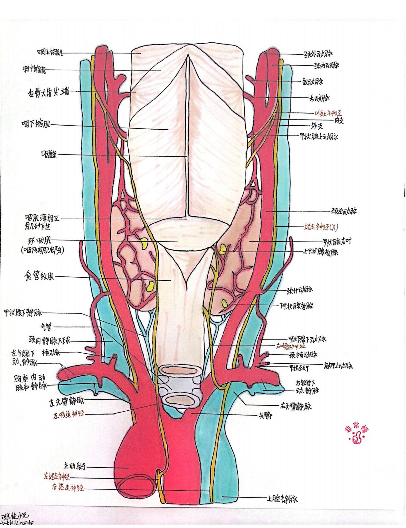 外护教学增活力，绘画活动展风采(图7)