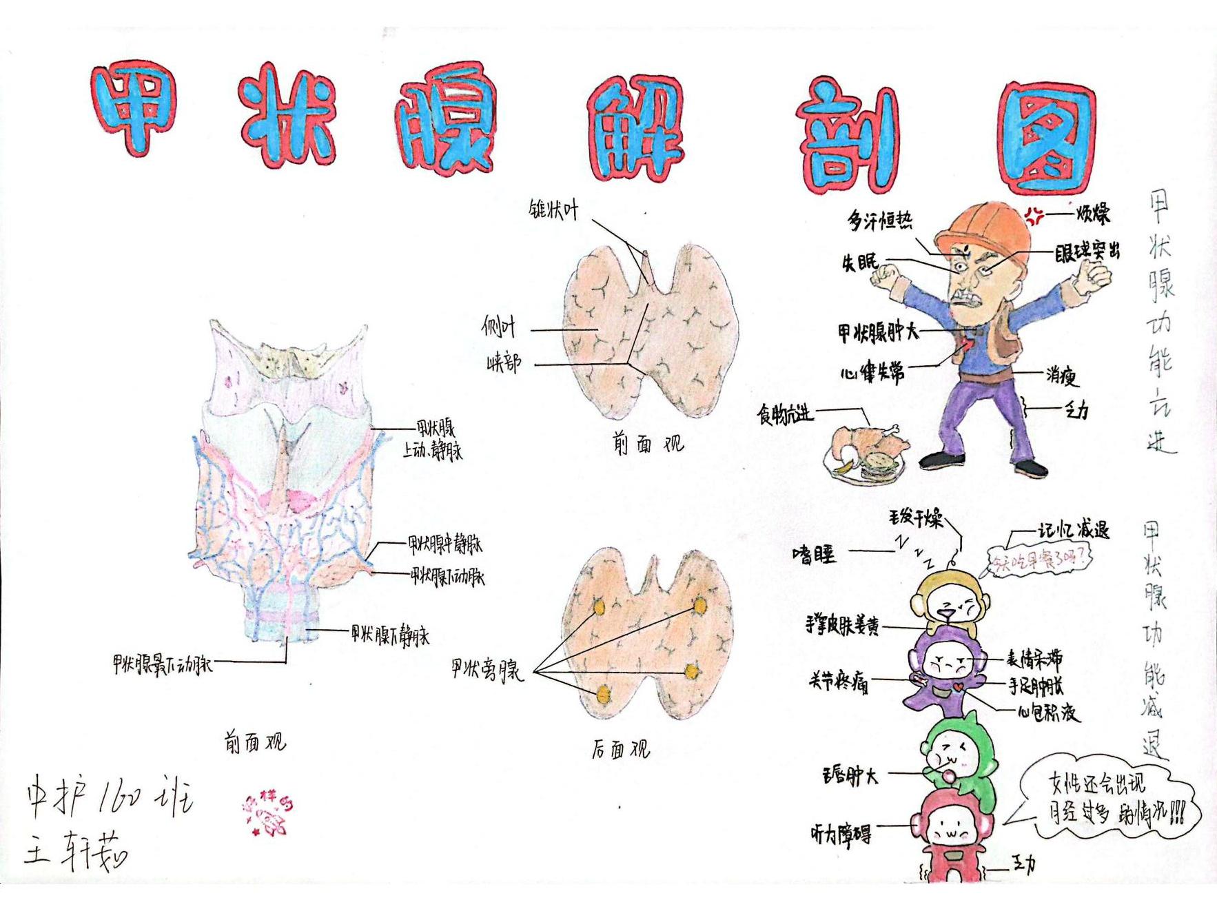 外护教学增活力，绘画活动展风采(图9)