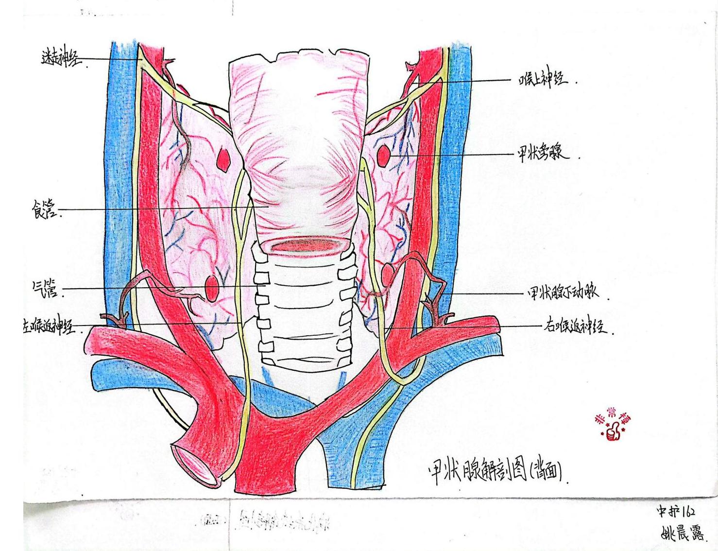 外护教学增活力，绘画活动展风采(图10)