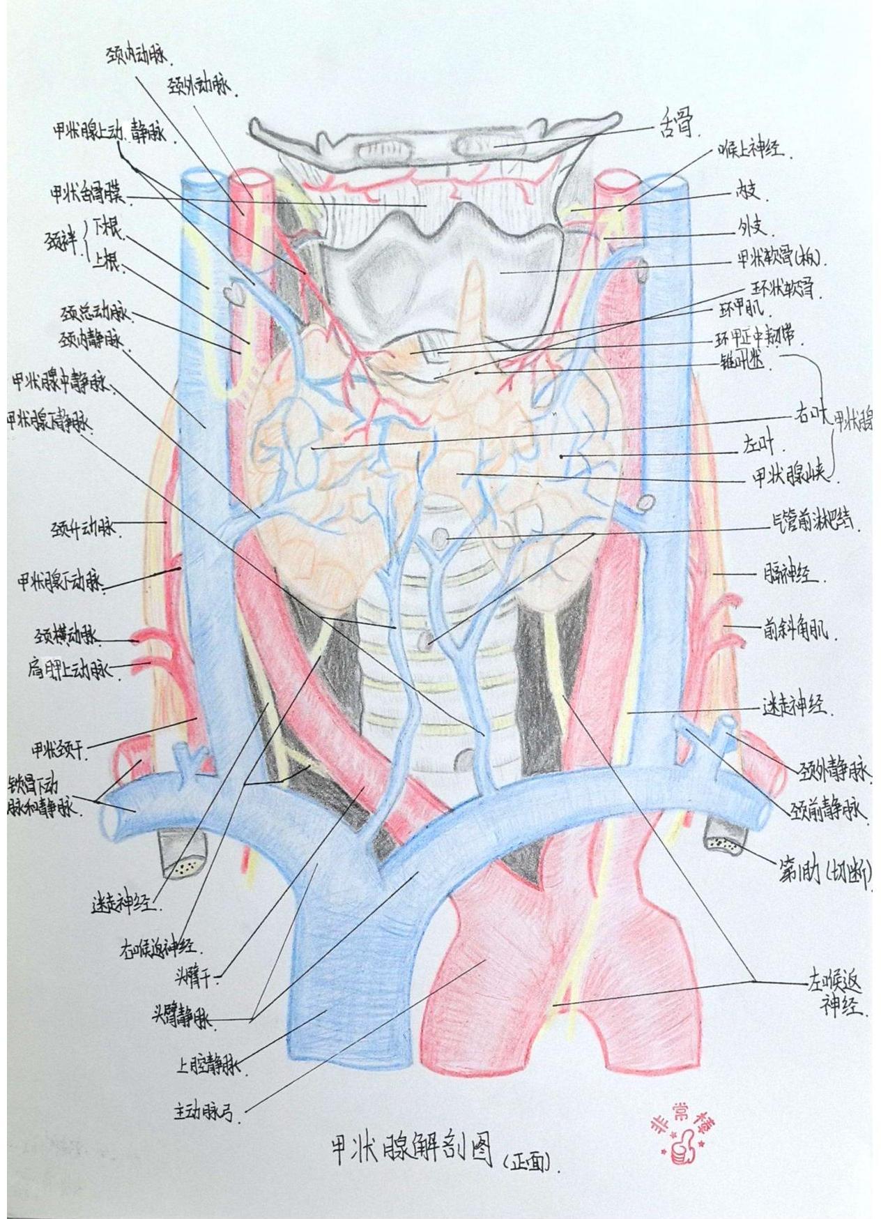 外护教学增活力，绘画活动展风采(图11)