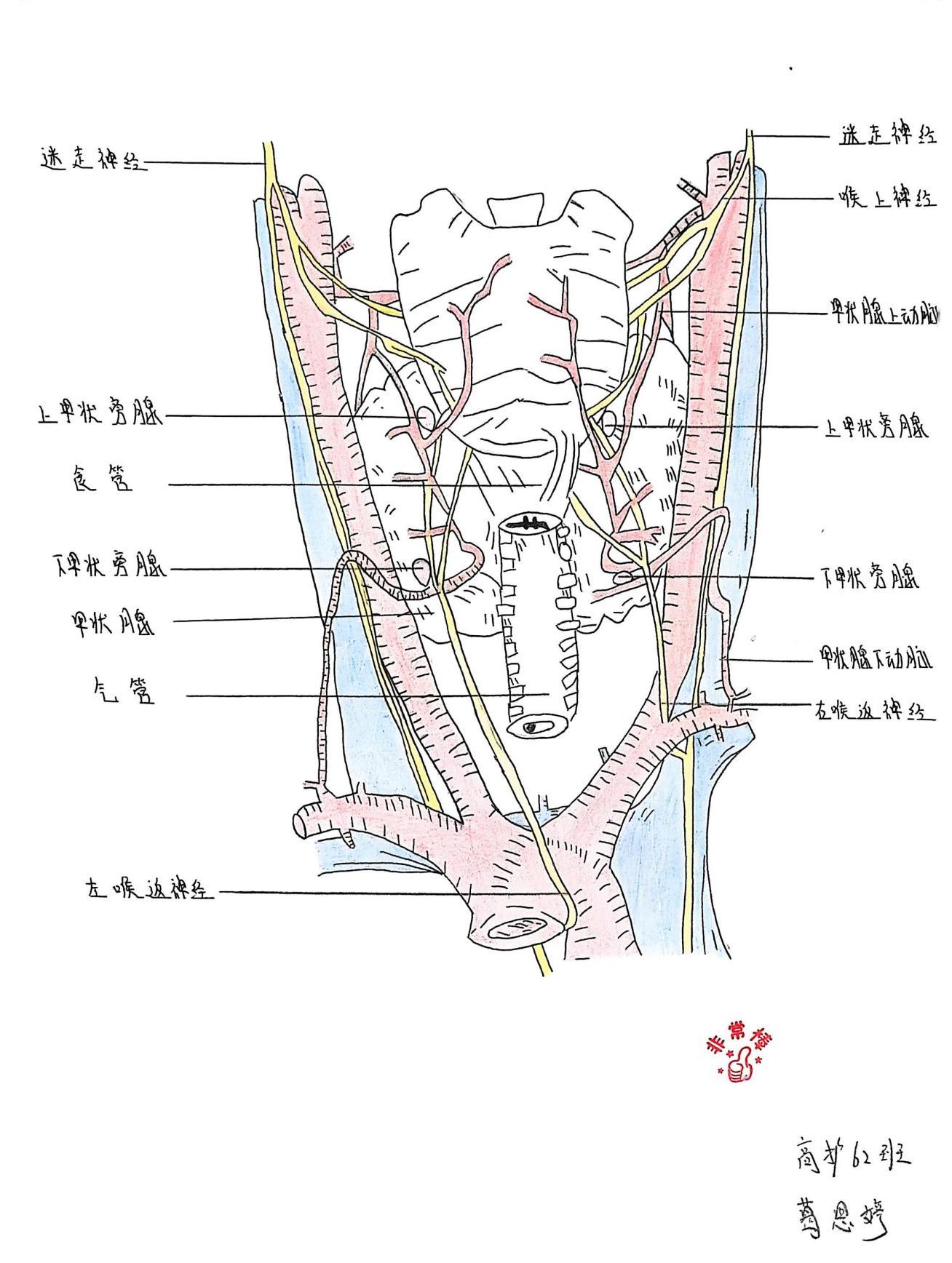 外护教学增活力，绘画活动展风采(图13)