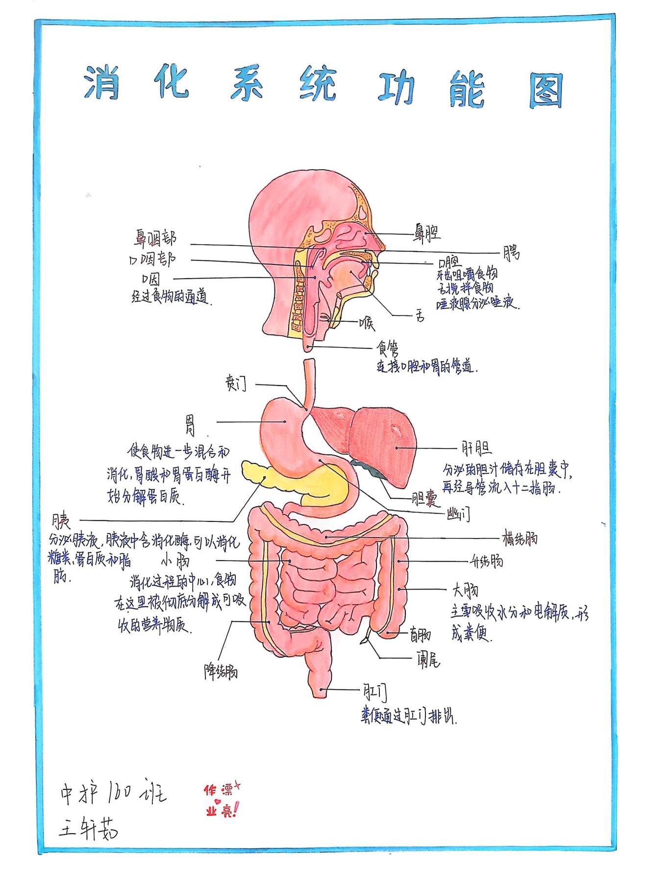 外护教学增活力，绘画活动展风采(图14)