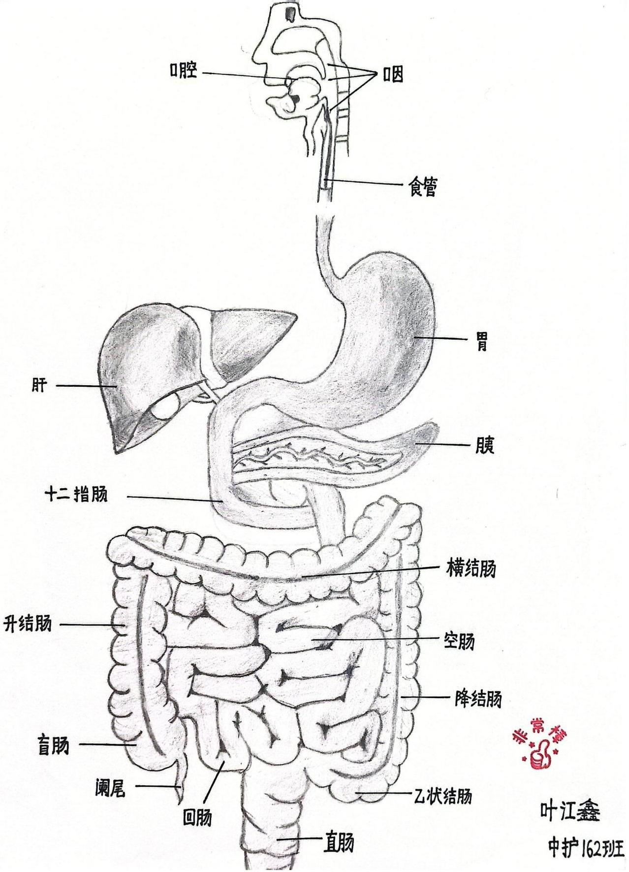 外护教学增活力，绘画活动展风采(图18)
