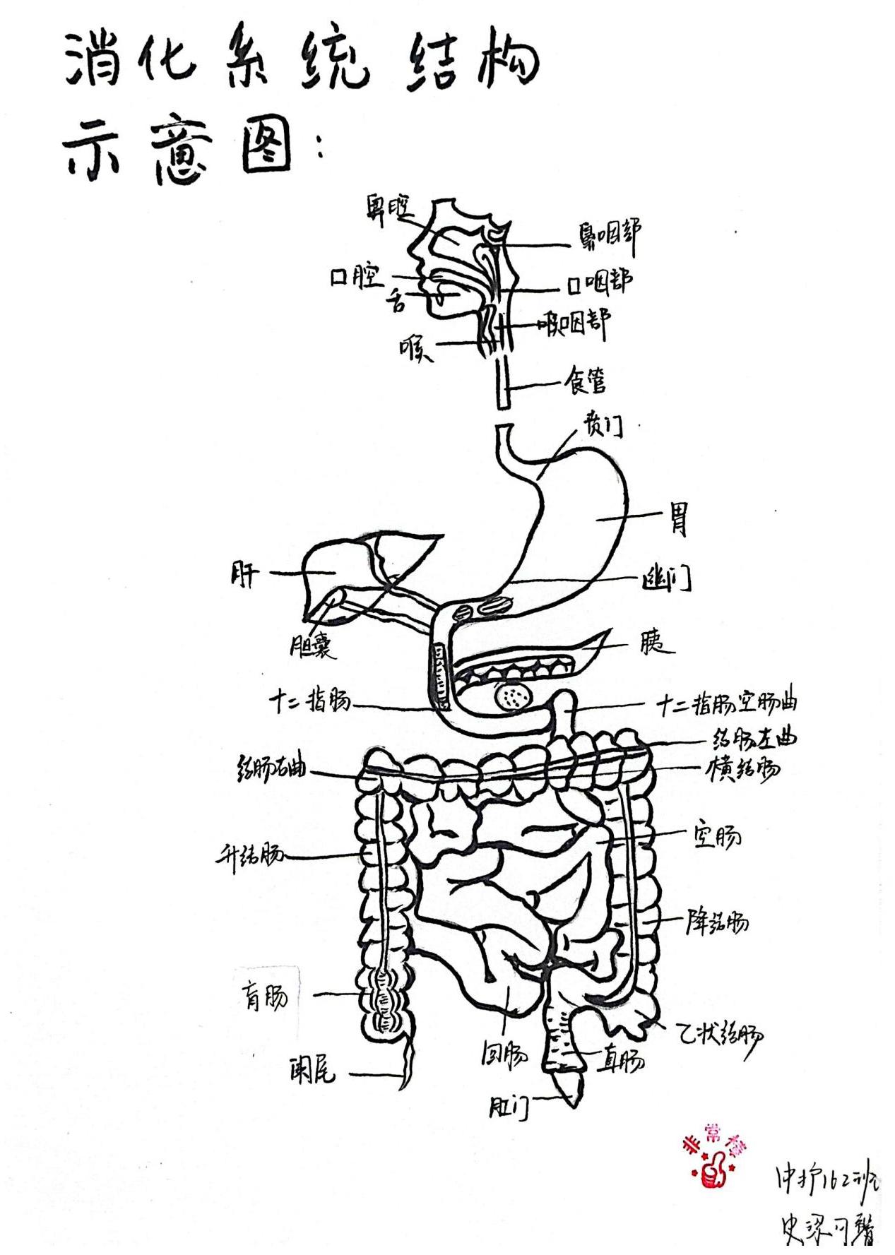 外护教学增活力，绘画活动展风采(图19)